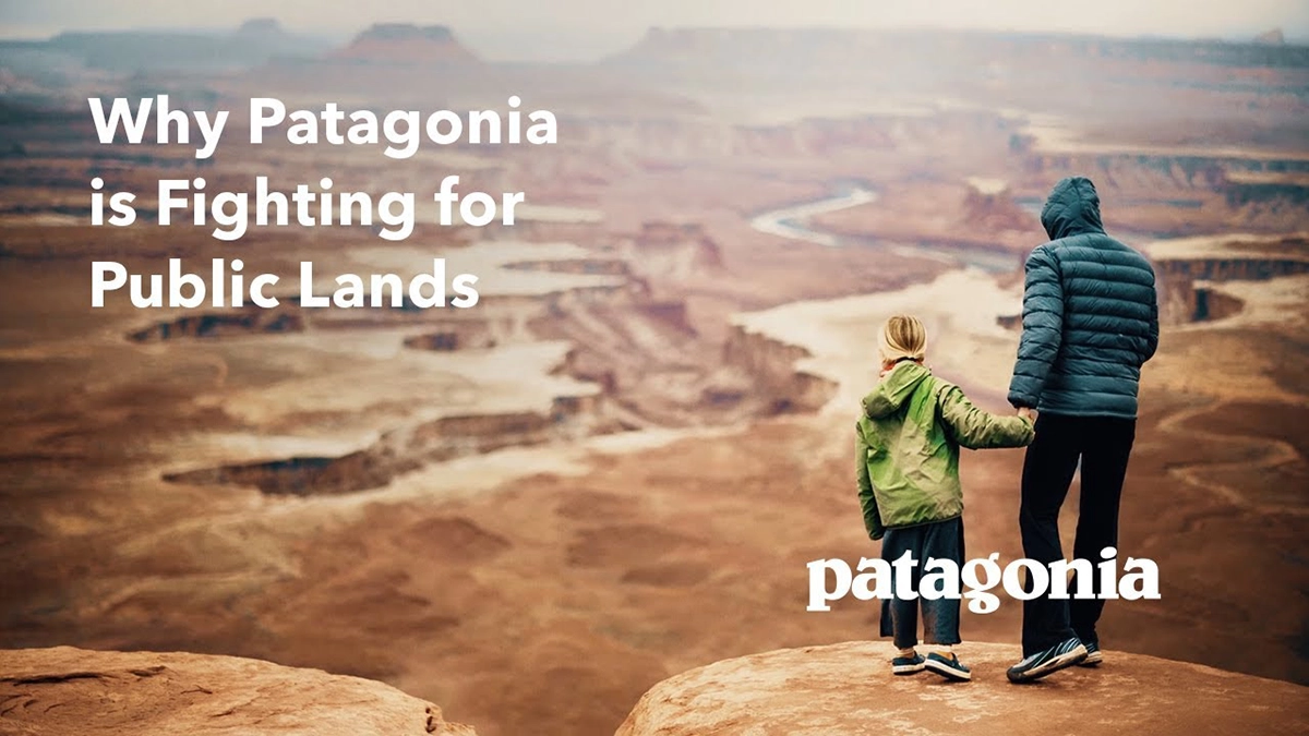 Patagonia Brand Purpose