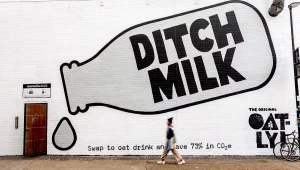 Oatly Branding Strategy