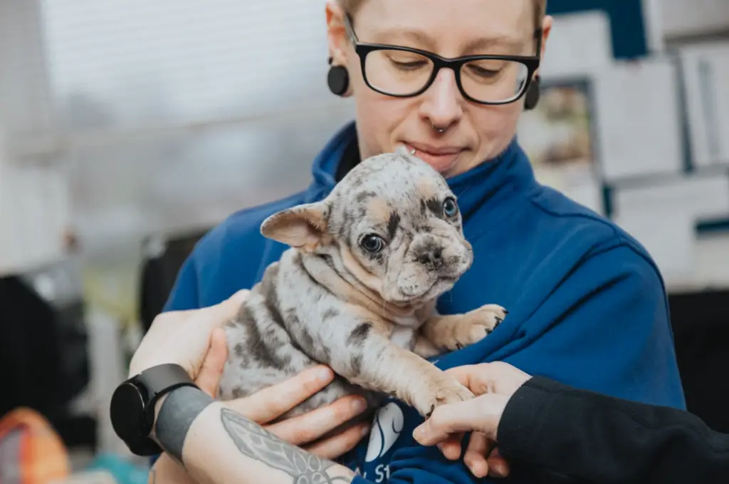 Jamie, a TMLA Bootcamp learner, with a small puppy in their arms