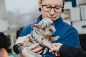 Jamie, a TMLA Bootcamp learner, with a small puppy in their arms